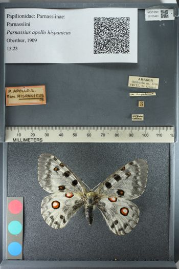 Media type: image;   Entomology 175461